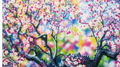 강남구 서양화가 초대전 –꽃바람처럼 봄. 봄. 봄-